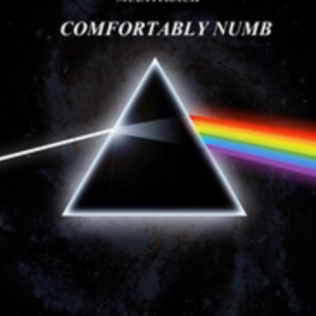 Pink Floyd-Comfortably Numb